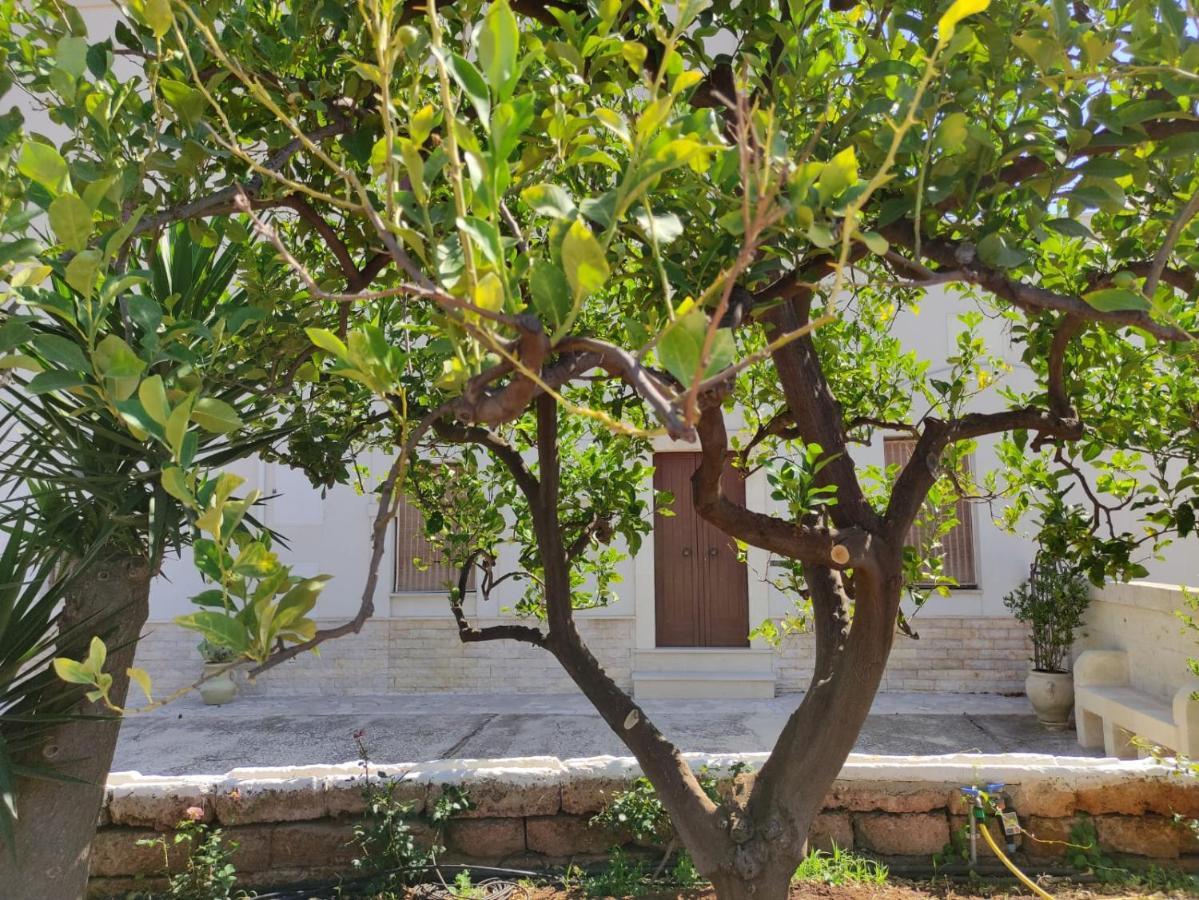 Villa Residenza "I Tre Carrubi " à Fasano Extérieur photo