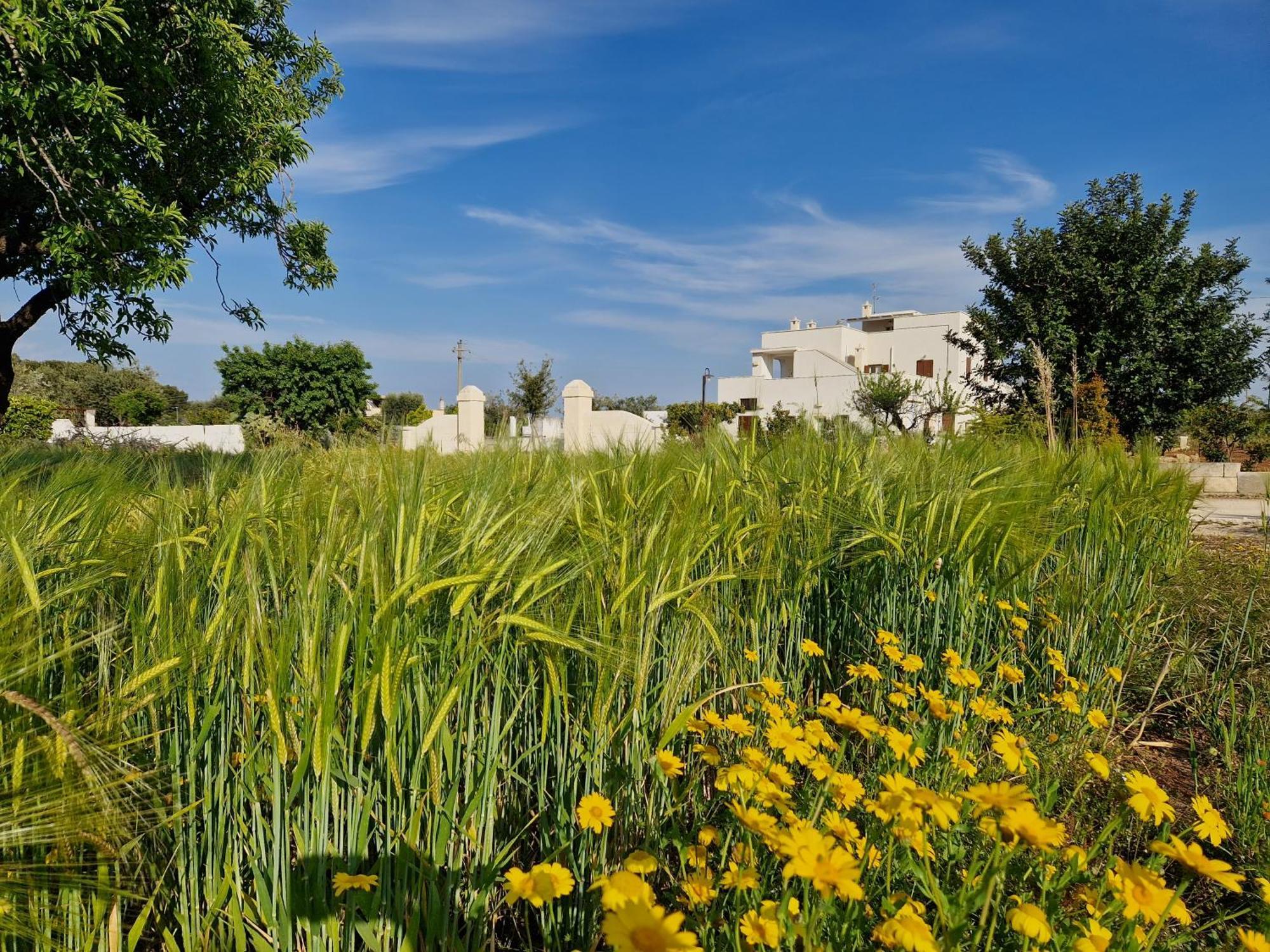 Villa Residenza "I Tre Carrubi " à Fasano Extérieur photo